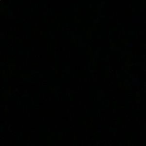 Meet your Posher, Deanna